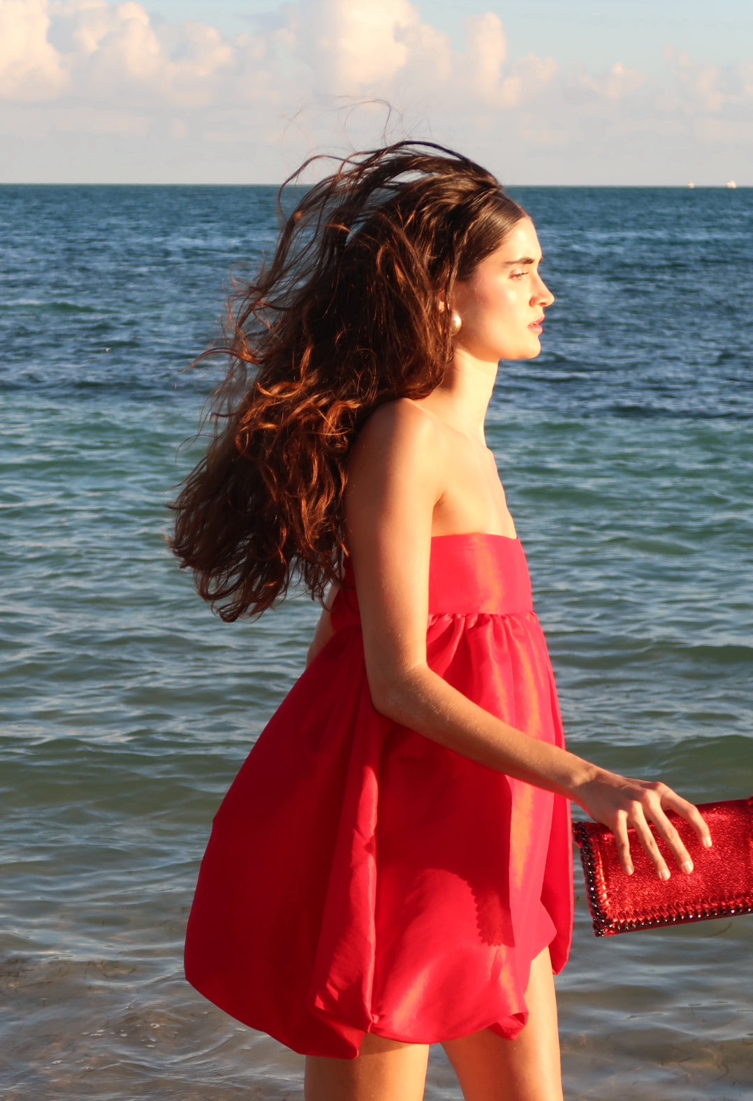 Red Metallic Bag